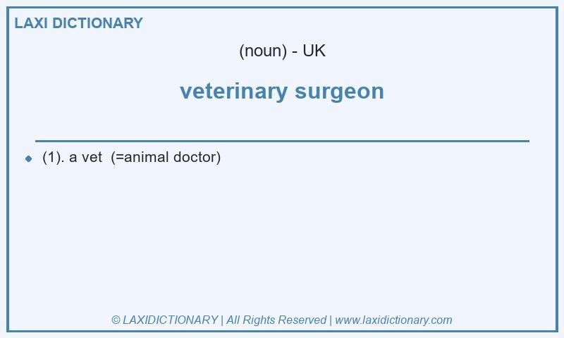 Definition veterinary surgeon in British English