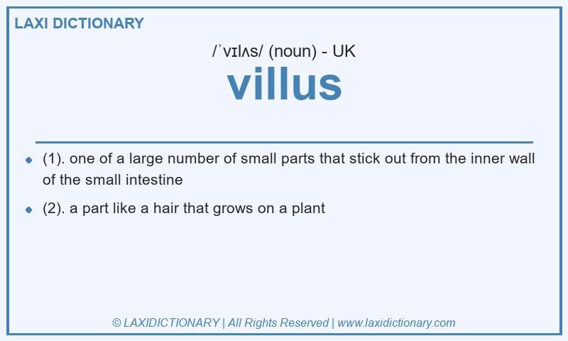 Definition villus in British English