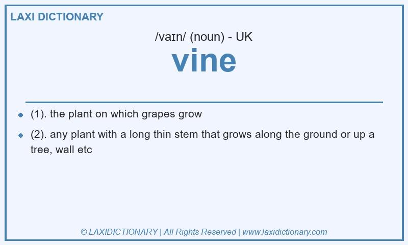 Definition vine in British English