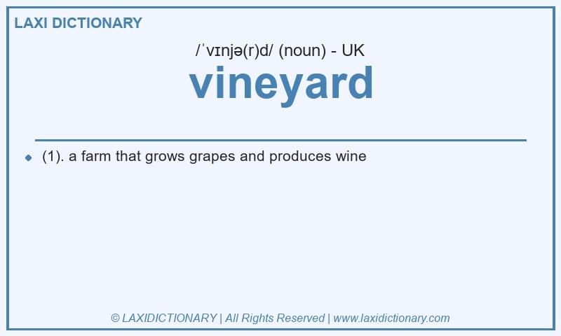 Definition vineyard in British English