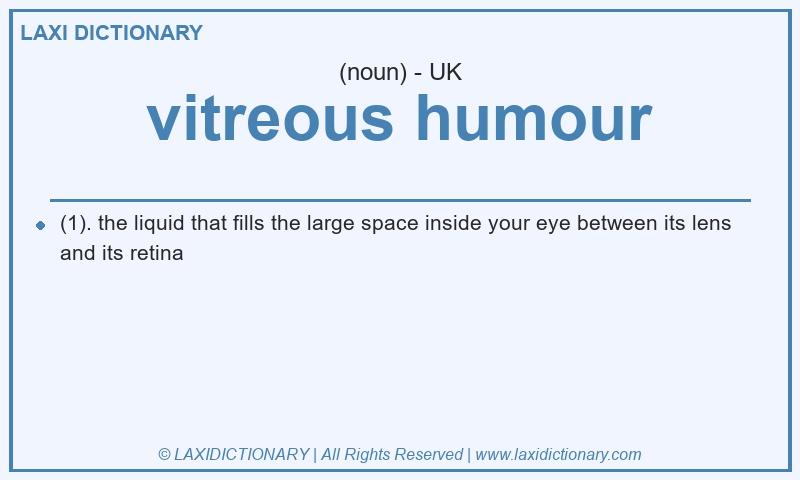 Definition vitreous humour in British English