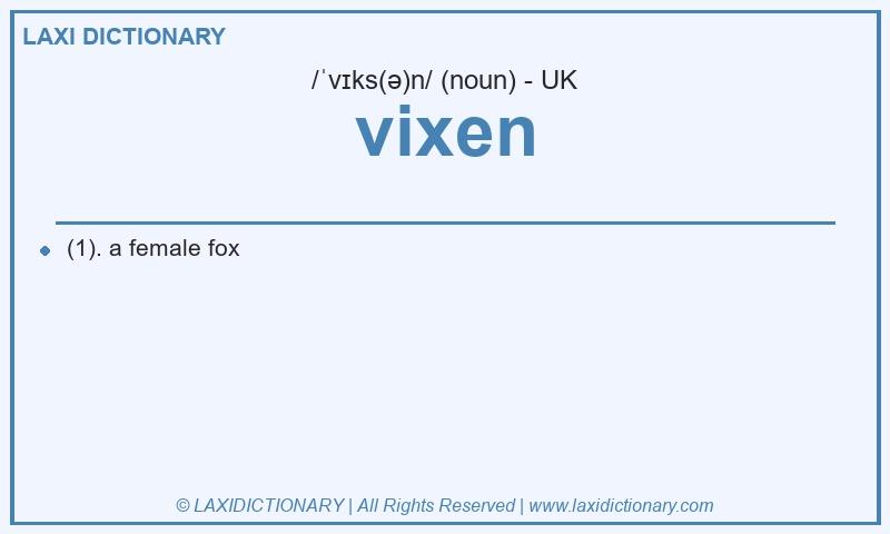 Definition vixen in British English
