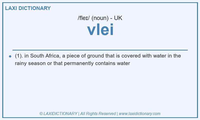 Definition vlei in British English