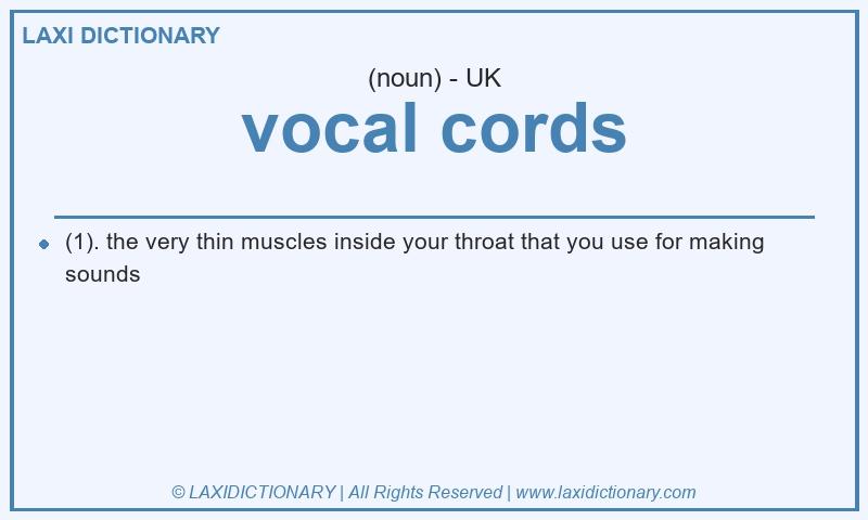 Definition vocal cords in British English