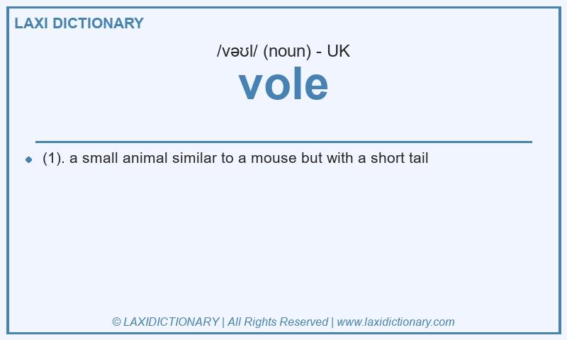 Definition vole in British English