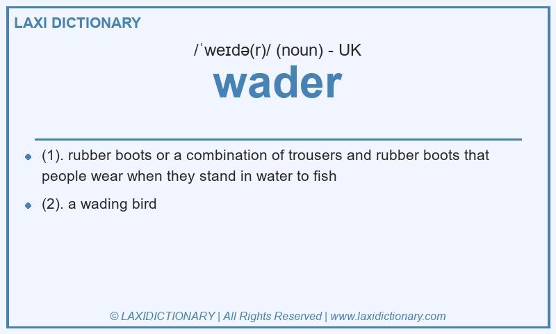 Definition wader in British English