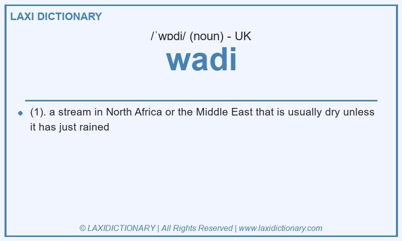 Definition wadi in British English