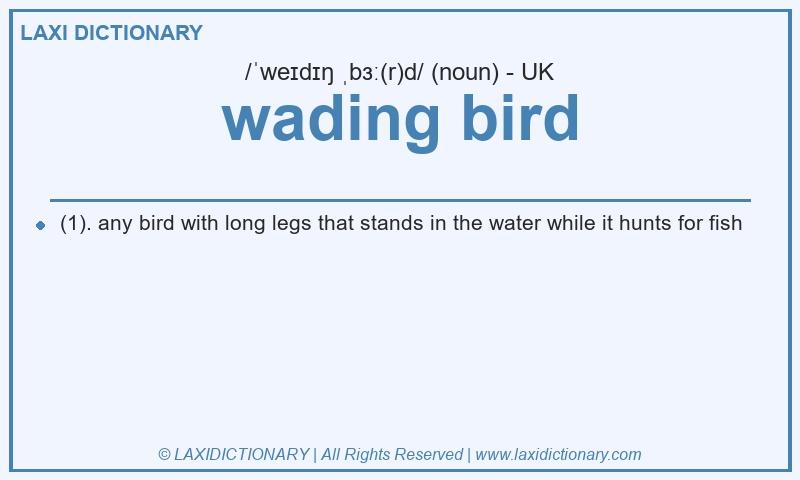 Definition wading bird in British English