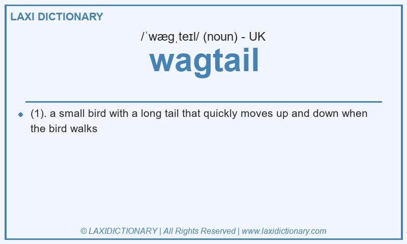 Definition wagtail in British English