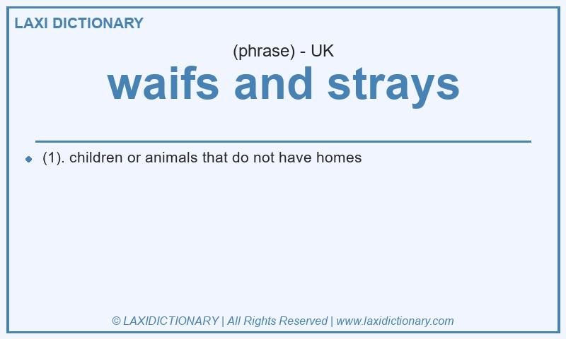 Definition waifs and strays in British English