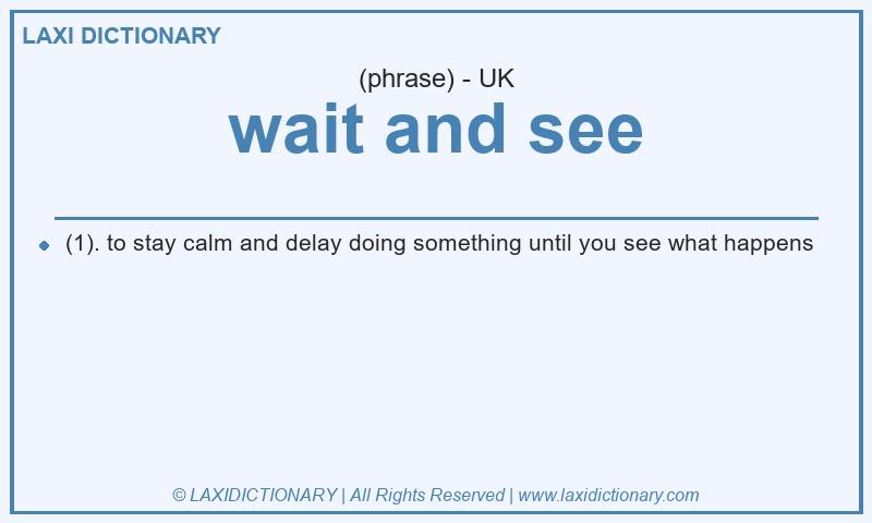 Definition wait and see in British English