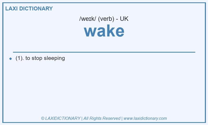 Definition wake in British English