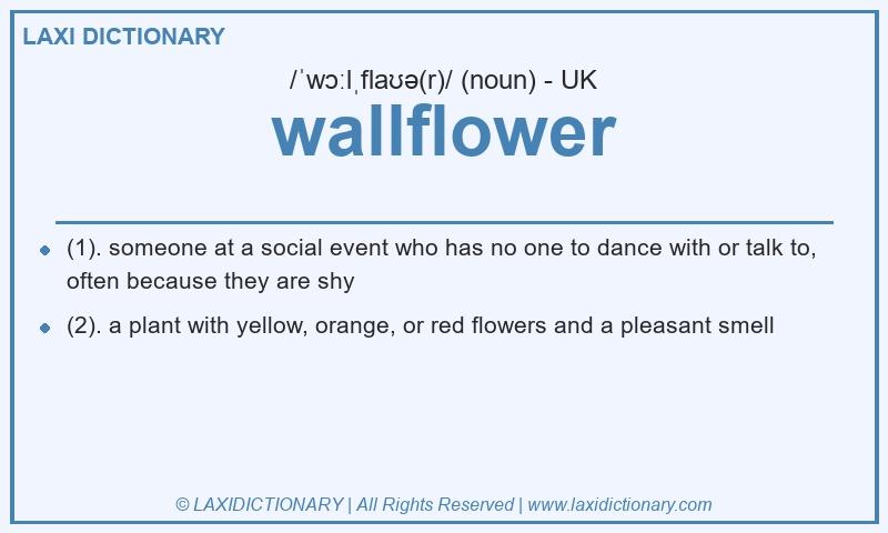 Definition wallflower in British English