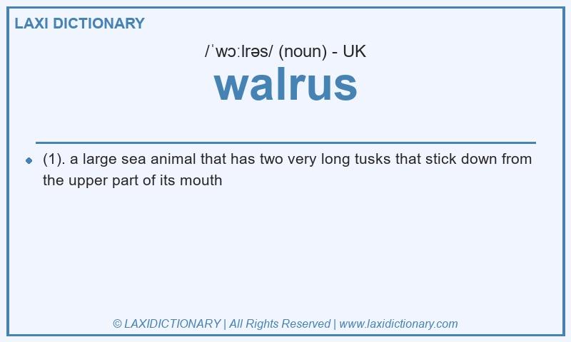 Definition walrus in British English