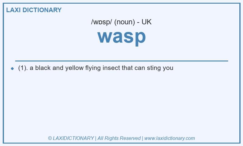 Definition wasp in British English