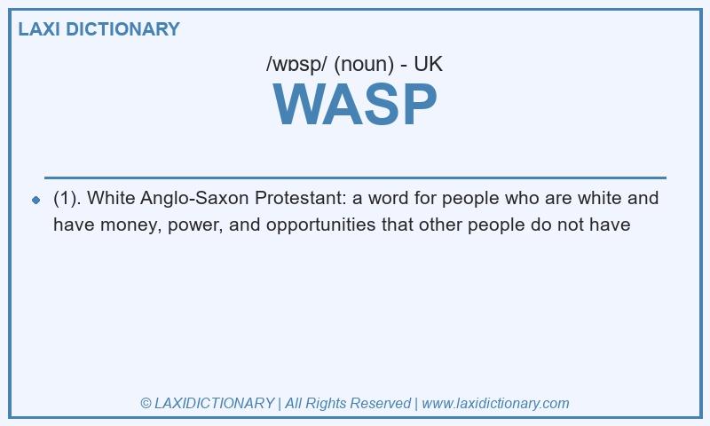 Definition WASP in British English