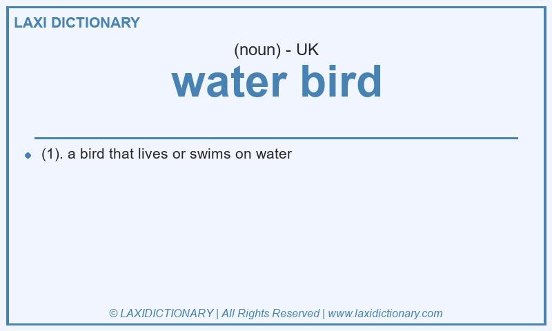 Definition water bird in British English