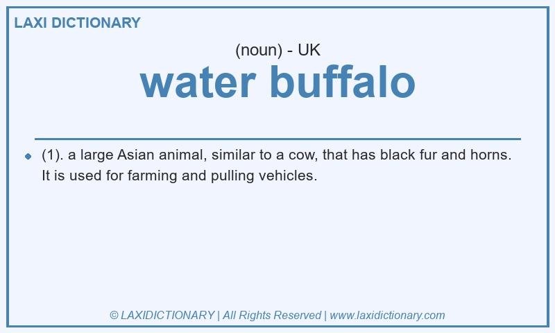 Definition water buffalo in British English