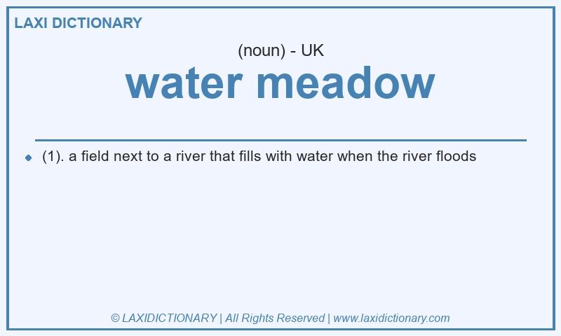 Definition water meadow in British English