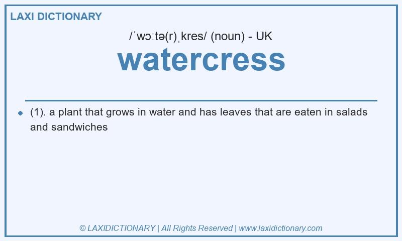 Definition watercress in British English