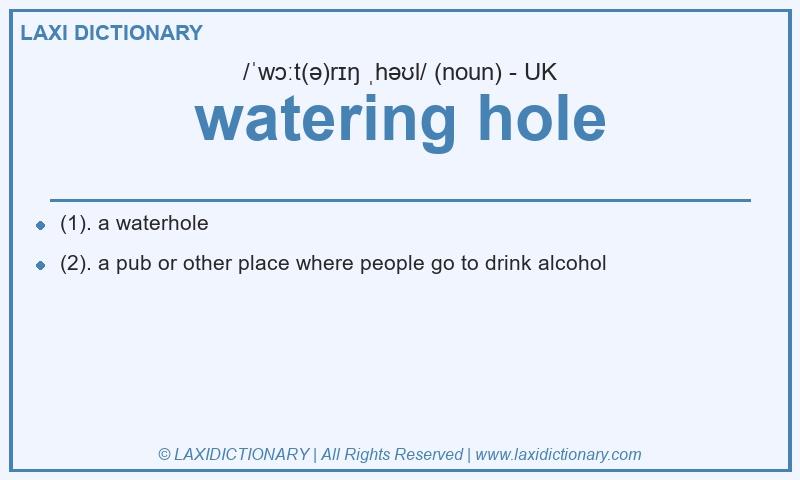 Definition watering hole in British English