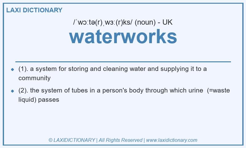 Definition waterworks in British English