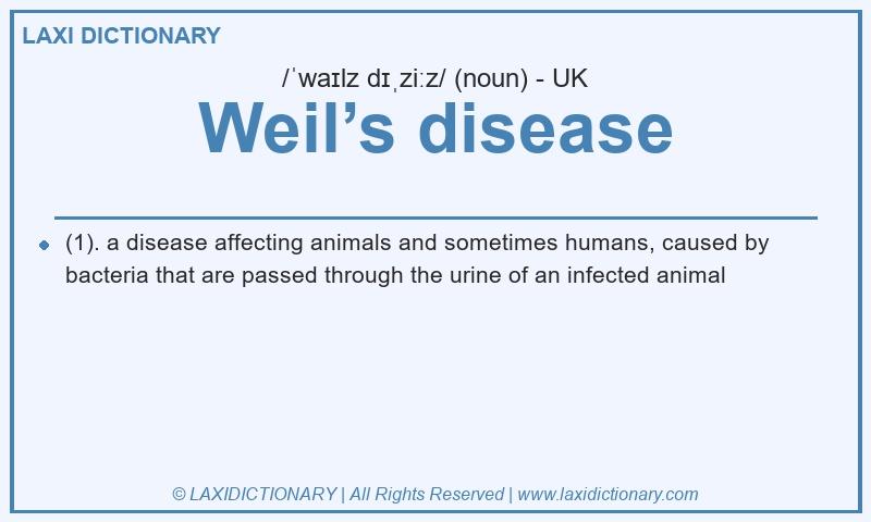 Definition Weil’s disease in British English
