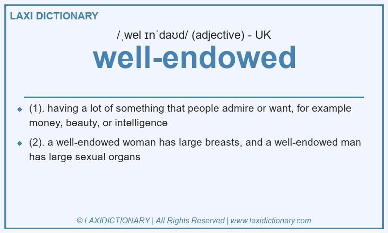 Definition well-endowed in British English