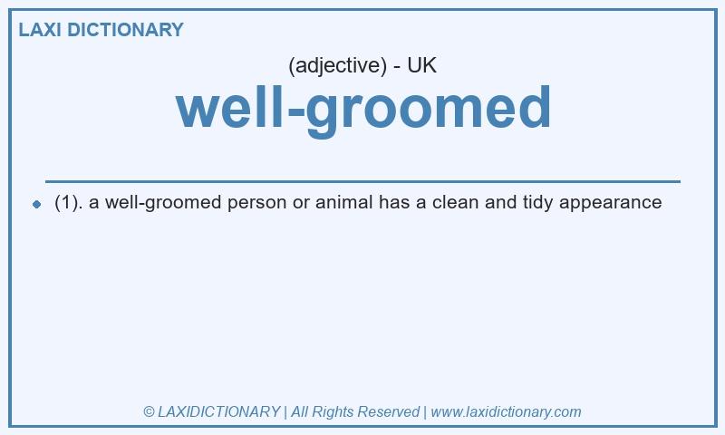 Definition well-groomed in British English