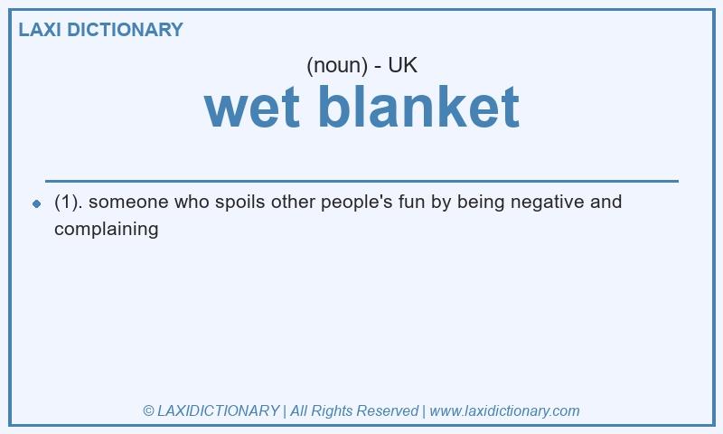 Definition wet blanket in British English