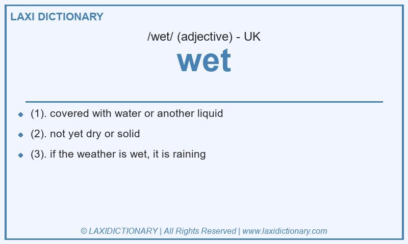 Definition wet in British English