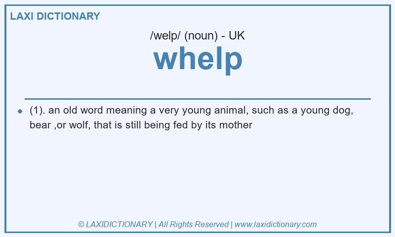 Definition whelp in British English