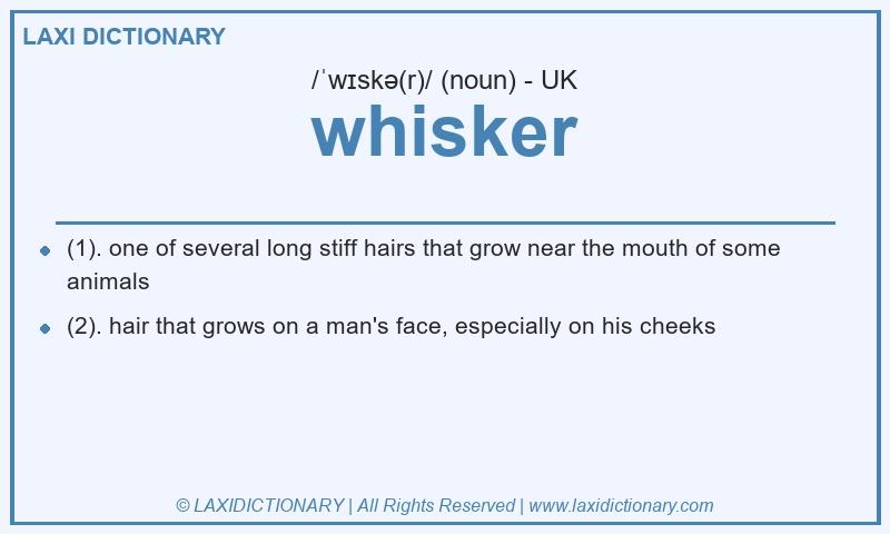 Definition whisker in British English