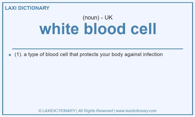 Definition white blood cell in British English