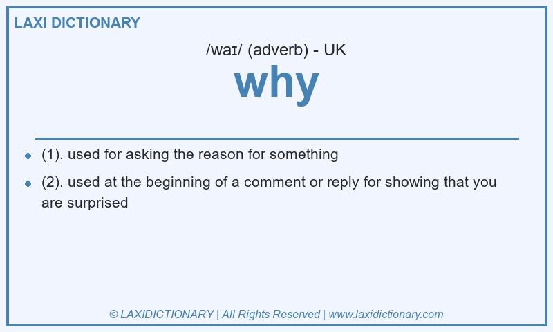 Definition why in British English