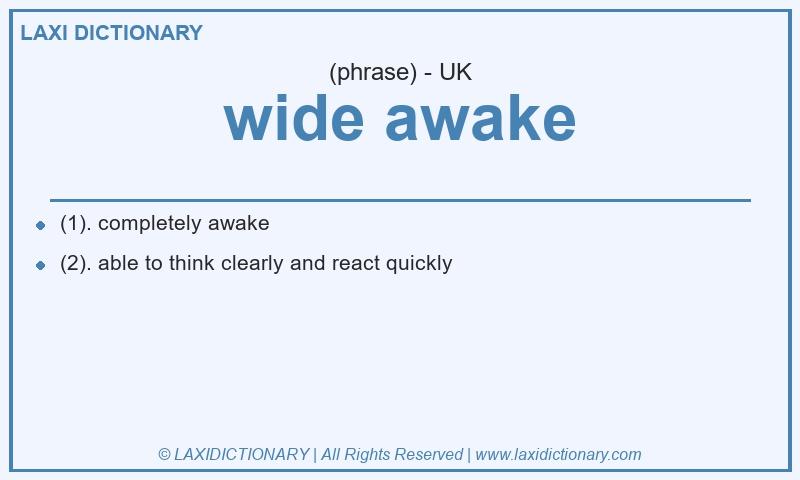 Definition wide awake in British English