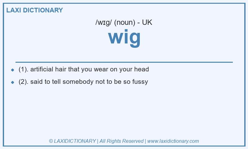 Definition wig in British English