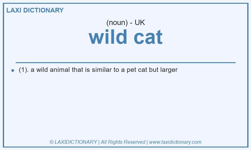 Definition wild cat in British English