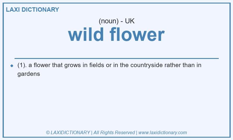 Definition wild flower in British English