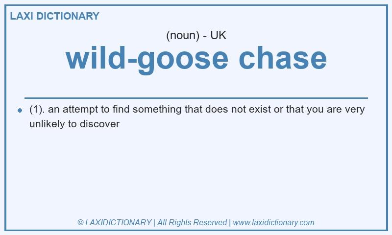 Definition wild-goose chase in British English