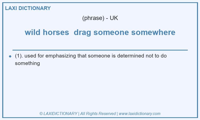 Definition wild horses drag someone somewhere in British English