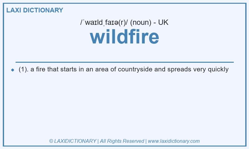 Definition wildfire in British English