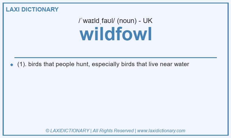 Definition wildfowl in British English