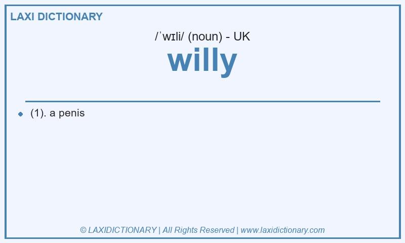 Definition willy in British English
