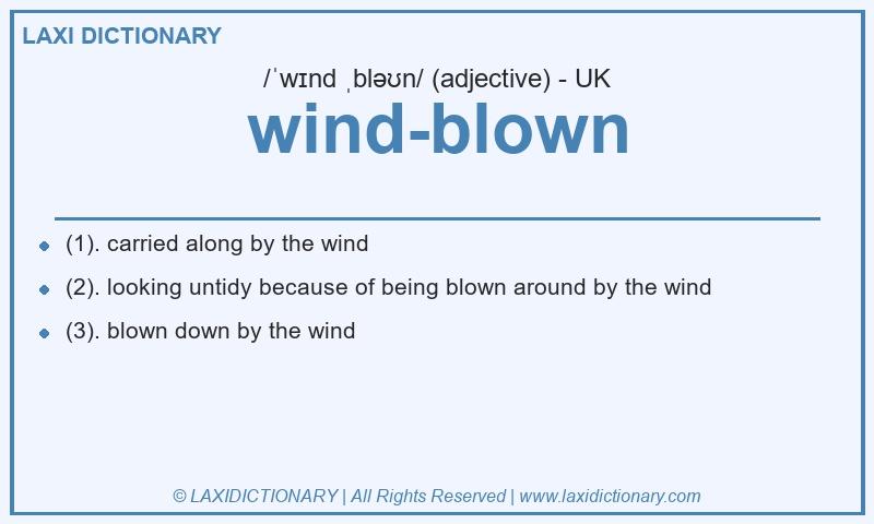Definition wind-blown in British English