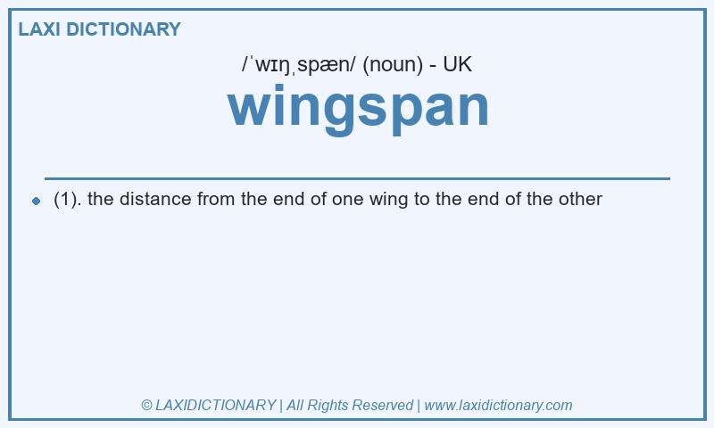 Definition wingspan in British English