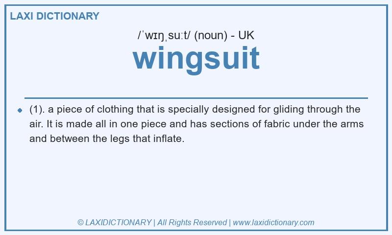 Definition wingsuit in British English