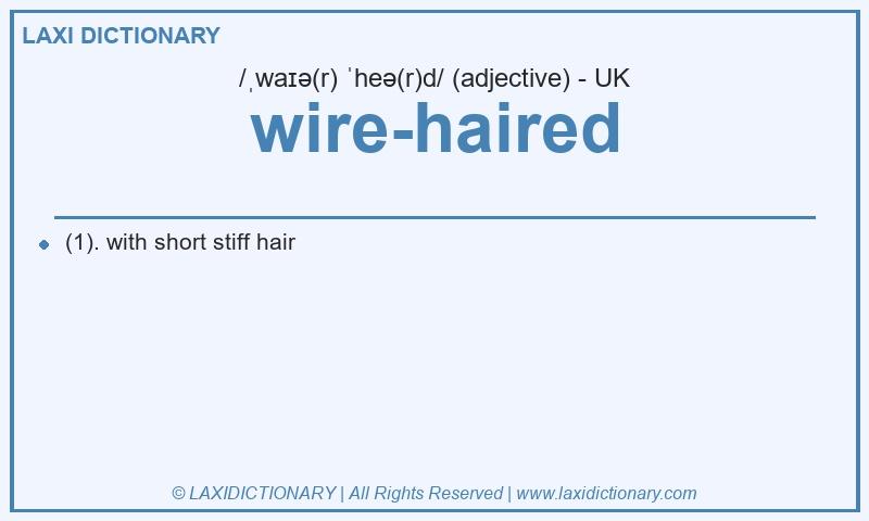 Definition wire-haired in British English
