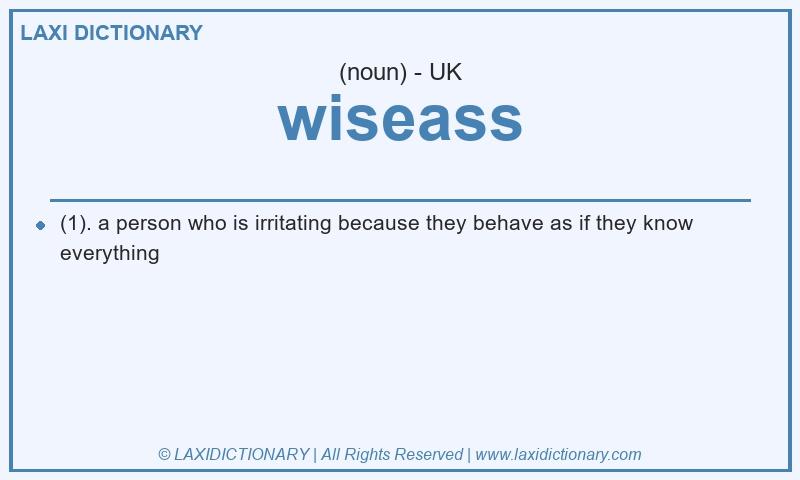 Definition wiseass in British English