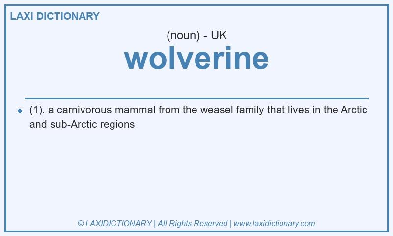 Definition wolverine in British English